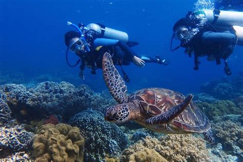 Guam Beach Diving! Beginner & Advanced Dives | Ocean Adventures