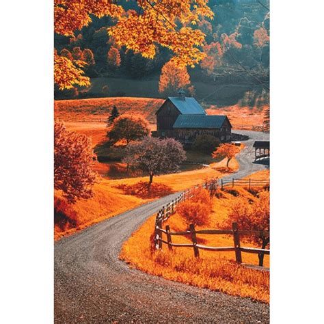 A Winding Autumn Road - Diamond Painting House