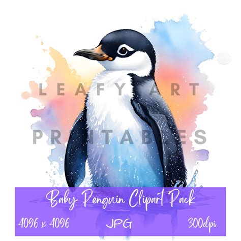 Baby Penguin Clipart Pack 10 High Quality Jpgs Commercial - Etsy