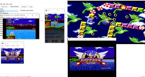 I ran 5 versions of Sonic 1 on my computer at the same time! I couldn't ...