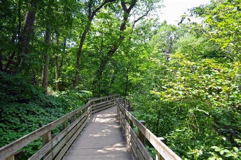 Starved Rock State Park in Illinois 2023-2024 - Rove.me