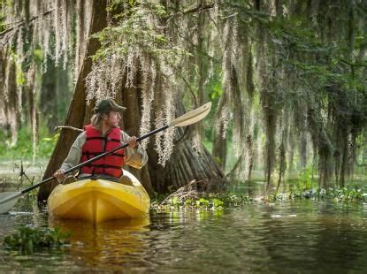 Bayou Teche Experience Kayak Trip, Canoe And Kayak, Photography Tours ...