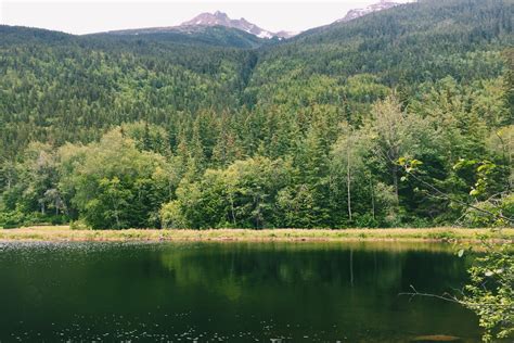 The Best Day Hikes In Skagway, Alaska - A Jaunt With Joy