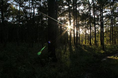 Free stock photo of camping, Charleston, mountainbike