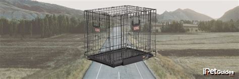 Kong Dog Crate Review (2024 Upd.) Is it Worth Your Money?