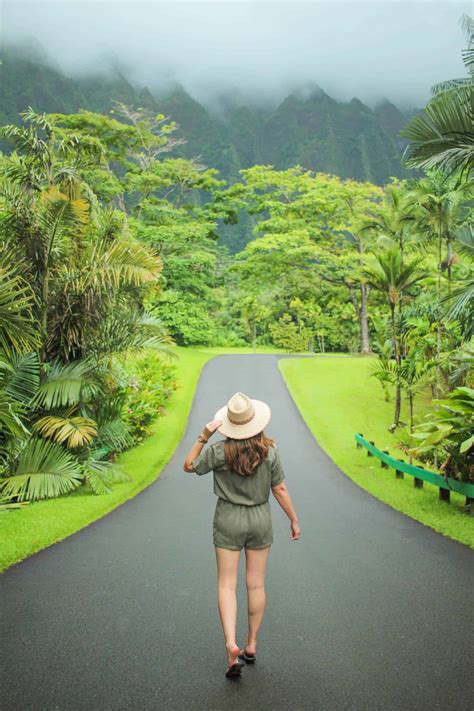 Oahu Botanical Garden | Fasci Garden