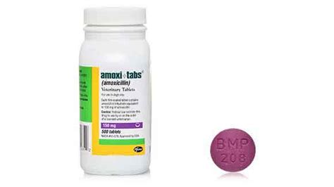 Amoxi-Tabs (Amoxicillin) - Antibiotic for Dogs and Cats | PetCareRx