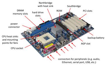 Computer info: Primary Connectors on the motherboard