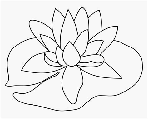 Lily Pad Flower Png Black And White - Lily Pad Drawing Easy, Transparent Png , Transparent Png ...