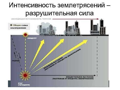 Understanding the Basics of Earthquake Activity