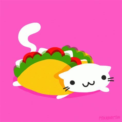 Taco Cat Cute GIF - TacoCat Cute CatFood - Discover & Share GIFs