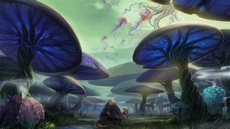 Fantasy Mushroom Wallpapers - Top Free Fantasy Mushroom Backgrounds - WallpaperAccess