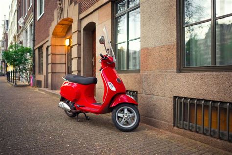 Learn About the Top Gas Scooter Brands | Scooterlay