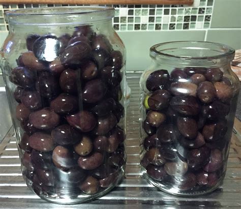 Curing Black Olives - The Greening of Gavin | Black olives recipes ...