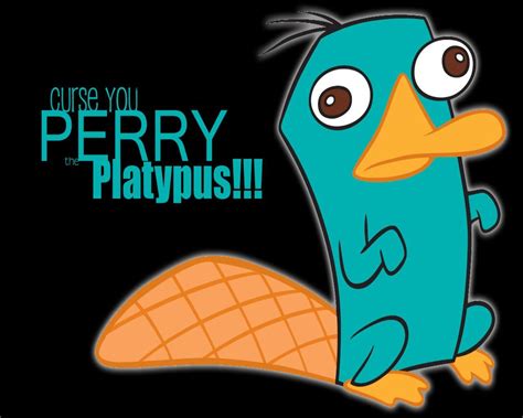 Baby Perry The Platypus Wallpapers - Wallpaper Cave