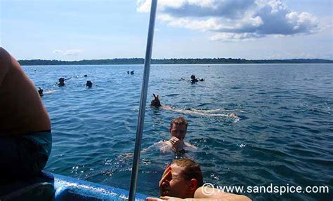 Bocas Del Toro Snorkeling Tours, Panama 🤿🐙🐬🐠 Worth the cost?