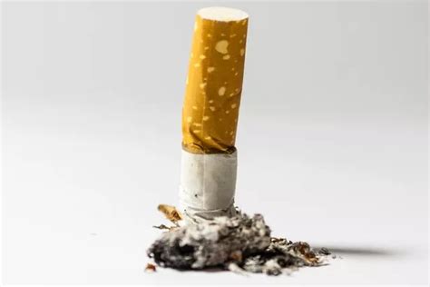 'Low tar' or 'light' cigarettes are 'MORE' likely to give smokers lung cancer - Irish Mirror Online