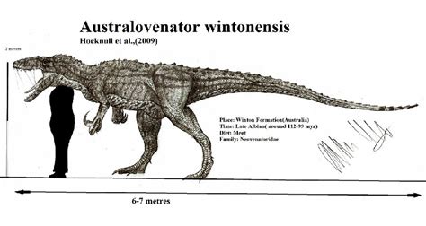 Australovenator Pictures & Facts - The Dinosaur Database