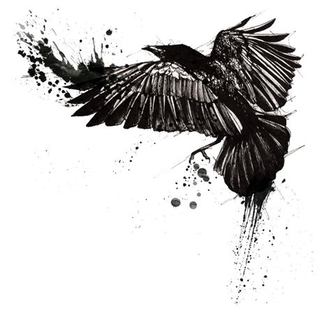 Flying Crow Ink Drawing