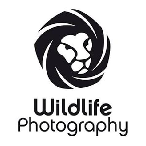 Wildlife Photography