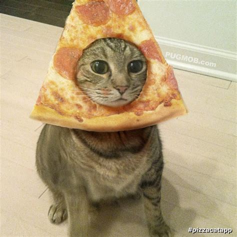 Pizzacat