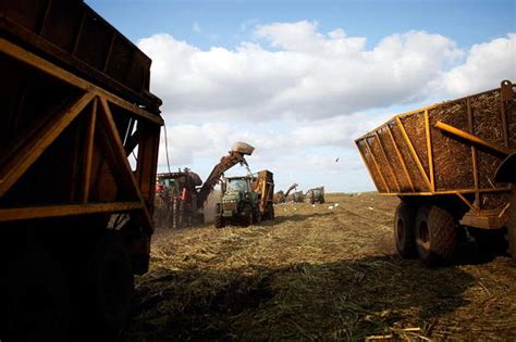 Local Sugarcane Farmer Explains Farm Bill Failure’s Impact