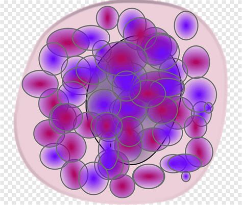 Monocyte Blood cell Immune system, blood, purple, violet png | PNGEgg