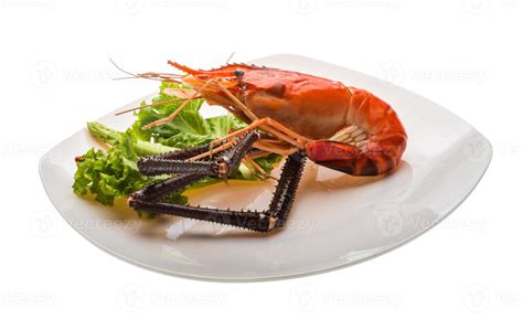 Giant Freshwater Prawn 11210833 Stock Photo at Vecteezy