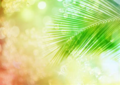 Palm Leaf Wallpaper - WallpaperSafari