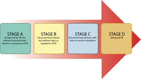 4 Stages of Heart Failure - Jaski 9781935395300 — Cardiotext Publishing ...