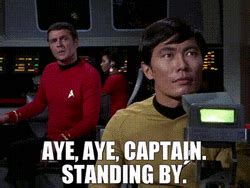 Aye Aye Captain Standing By GIF | GIFDB.com