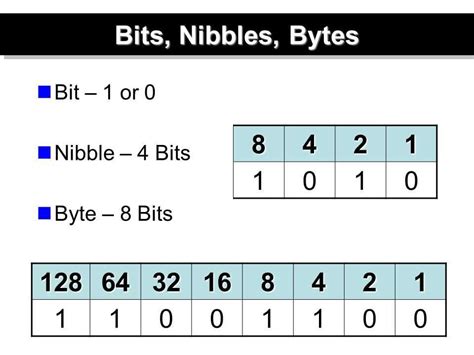 The Bits In A Byte Clue at James Montes blog