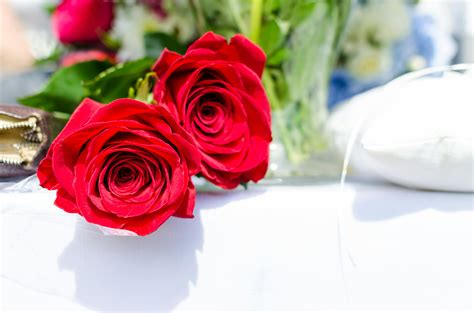 Close-up of Rose Bouquet · Free Stock Photo