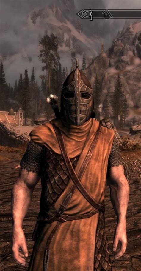 Create meme "guard Skyrim, skyrim guard, photo of the guards of ...