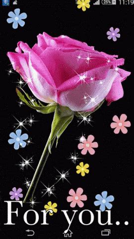 Flower Pink Rose GIF - Flower PinkRose ForYou - Discover & Share GIFs