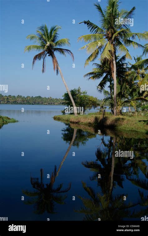 Beautiful Scenery of kerala landscape near Silent kerala backwaters ...