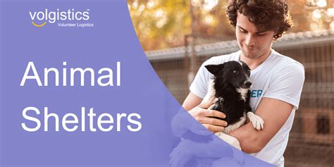 Animal Shelters | Volgistics