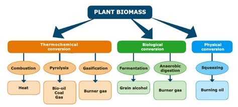 Biomass Technology | IMAM Ambiente