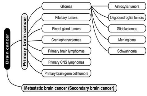 Types Causes And Symptoms Of Brain Tumor - Health Blog