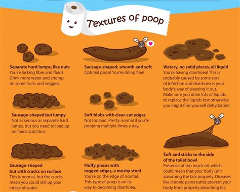 Know-What-Your-Poop-Says-About-Your-Health-Infographic (1) – NIGHTINGALE & CO