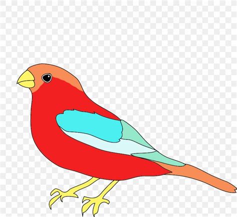 Drawing Birds Color Clip Art, PNG, 1181x1084px, Bird, Art, Beak, Bird ...