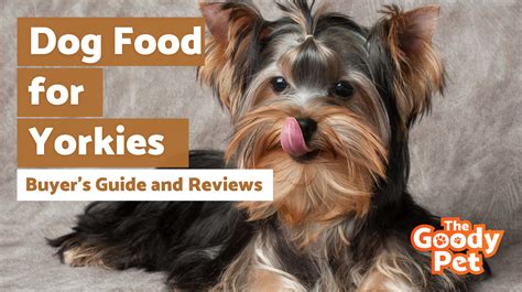 7 Best Dog Food For Yorkies (January 2020) | The Goody Pet