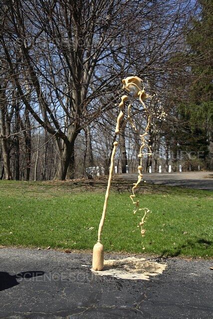 Photograph | Mentos and Soda Reaction | Science Source Images