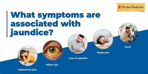 Jaundice: Causes, Symptoms, & Diagnosis - Dr Lal PathLabs Blog