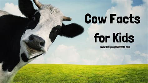 Amazing Cow Facts for Kids with Free Printables - Kids Play and Create