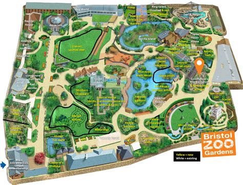 My Ideal Bristol Zoo Map - ZooChat