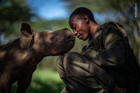 Wildlife Photographer of the Year Winners Will Take Your Breath Away