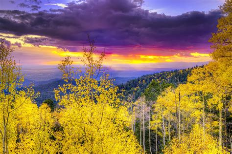 Fall Foliage In Northern New Mexico: 10 Great Drives