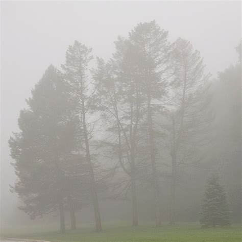 Dense Fog Photograph by Nikki Watson McInnes - Pixels