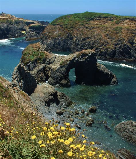 Mendocino Headlands, CA | Mendocino headlands state park, Mendocino ...